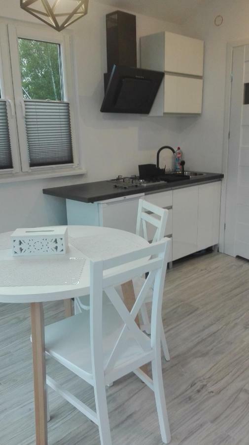 Mizerowka Guest House Kudowa Zdroj Luaran gambar